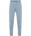 NS700 Native Spirit Jog Pants Aquamarine colour image